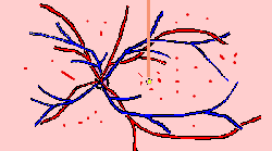 wpe21.gif (3361 bytes)