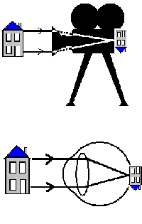 wpe20.gif (3716 bytes)