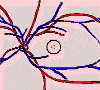 wpe24.gif (6783 bytes)