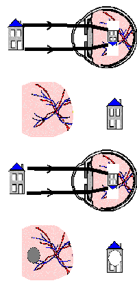 wpe27.gif (8232 bytes)