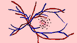 wpe1D.gif (3861 bytes)