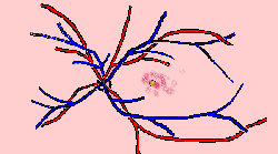 wpe1B.gif (3446 bytes)
