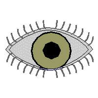 eyetocataract.gif (96549 bytes)