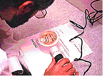 wpe2C.gif (17144 bytes)
