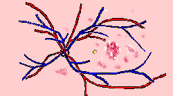 wpe19.gif (4654 bytes)