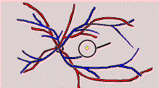 wpe3.gif (46011 bytes)