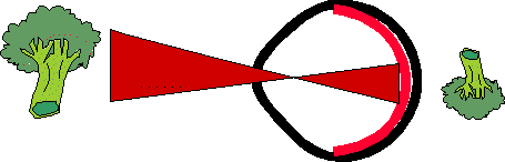 wpe7.gif (3957 bytes)