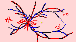wpe1F.gif (3301 bytes)