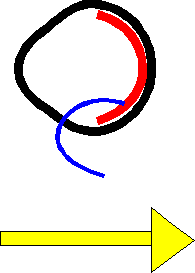 wpeF.gif (2532 bytes)