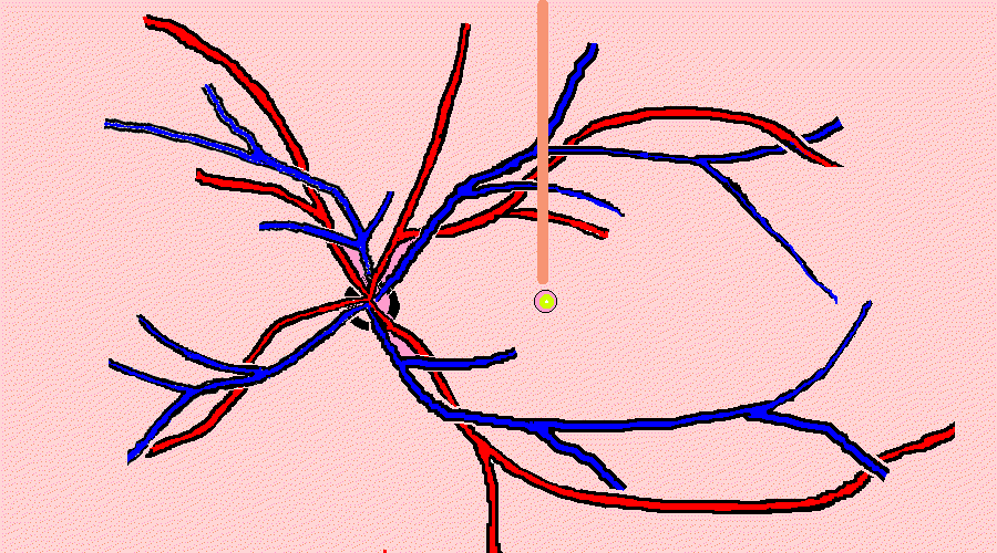 wpe4.gif (47091 bytes)