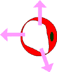 wpeA.gif (2790 bytes)