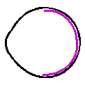 prolif2a.gif (9430 bytes)