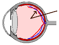 wpe16.gif (3801 bytes)