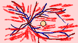 wpe27.gif (7400 bytes)