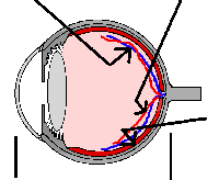 wpe19.gif (3865 bytes)
