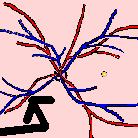 wpe1B.gif (2575 bytes)