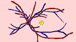 wpe1E.gif (2969 bytes)