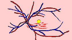 wpe24.gif (3297 bytes)