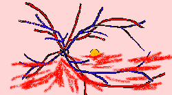 wpe25.gif (5777 bytes)