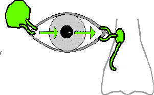 wpeE.gif (4098 bytes)