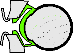 wpe14.gif (3448 bytes)