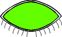 wpe16.gif (2598 bytes)