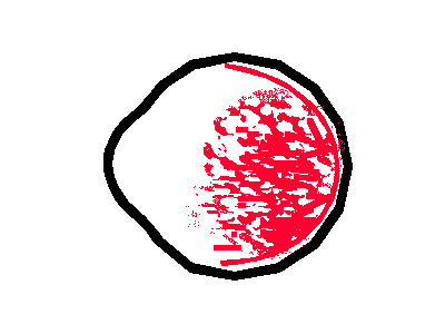 wpe15.gif (4041 bytes)